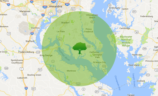 Jeff's Tree & Outdoor Services - Contact Service Map